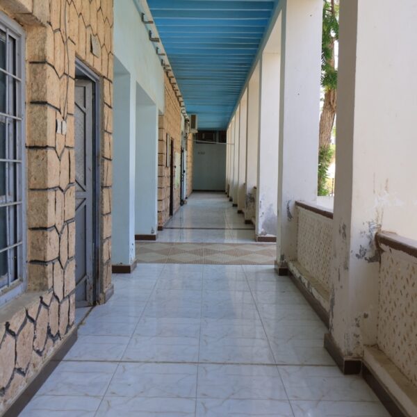 IMG 7923