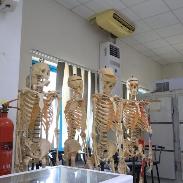 صورة IMG 6960 كبيرة