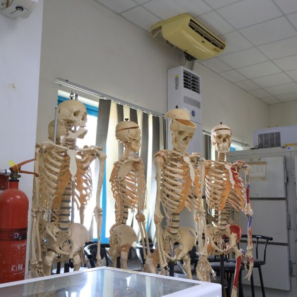 صورة IMG 6961 كبيرة