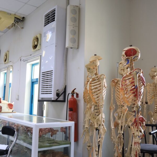صورة IMG 6966 كبيرة