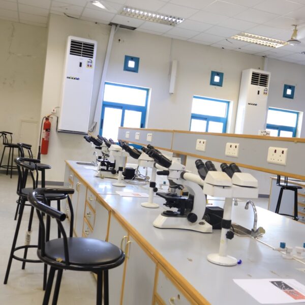 صورة IMG 7022 كبيرة