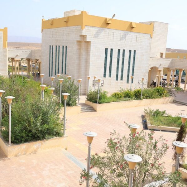 صورة IMG 7039 كبيرة