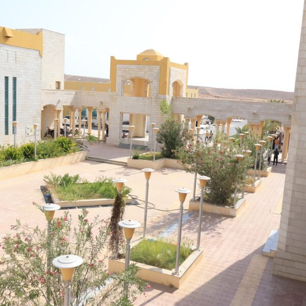 صورة IMG 7040 كبيرة