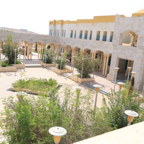 صورة IMG 7042 كبيرة