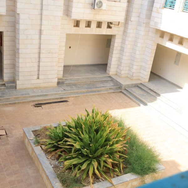 صورة IMG 7068 كبيرة