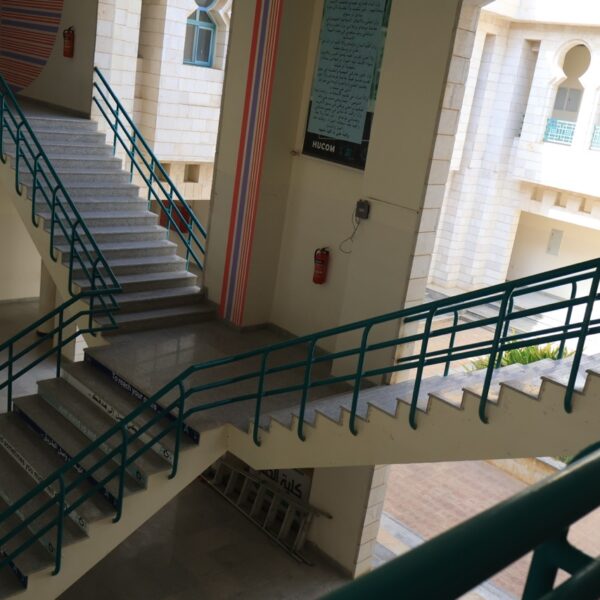 صورة IMG 7101 كبيرة