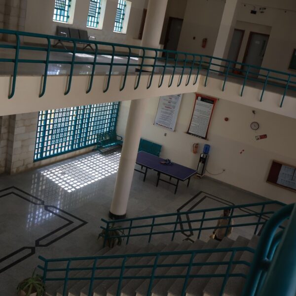 صورة IMG 7105 كبيرة