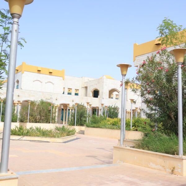صورة IMG 7149 كبيرة