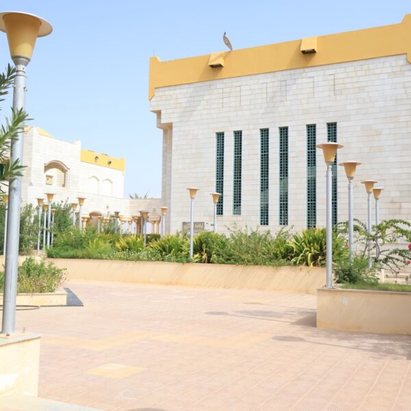 صورة IMG 7150 كبيرة