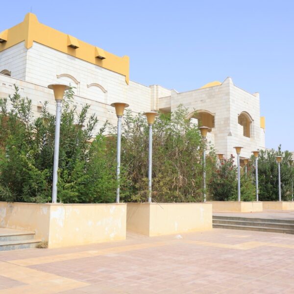 صورة IMG 7212 كبيرة