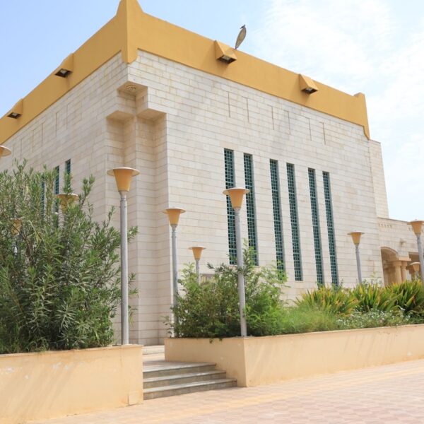 صورة IMG 7215 كبيرة
