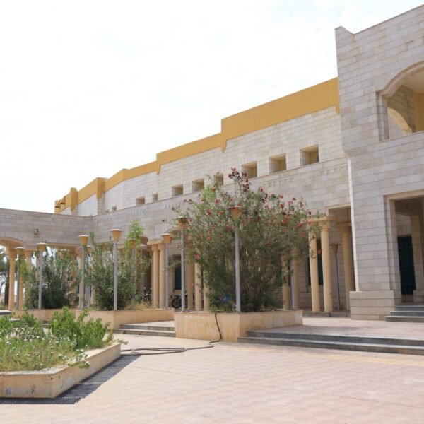 صورة IMG 7218 كبيرة