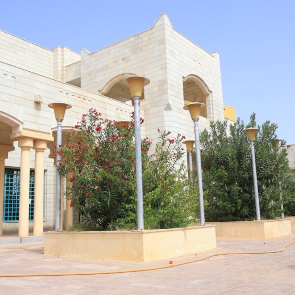 صورة IMG 7220 كبيرة