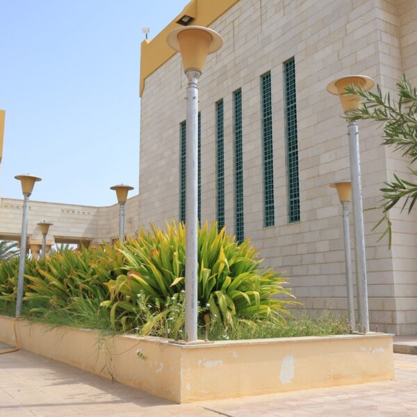 صورة IMG 7222 كبيرة