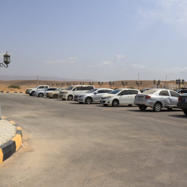 صورة IMG 7240 كبيرة