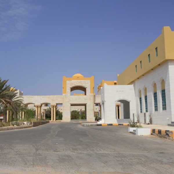 صورة IMG 7252 كبيرة