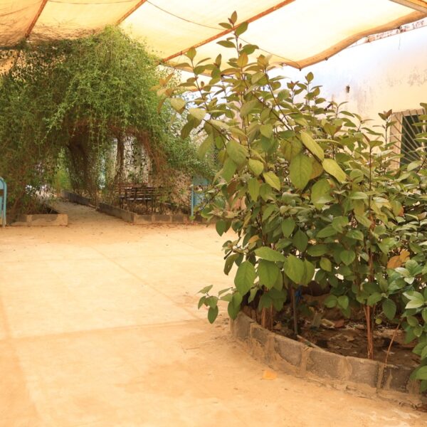 Nursing Complex2