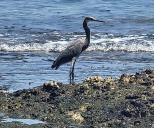 IMG-20251026-WA0077 IMG-20251026-WA0077