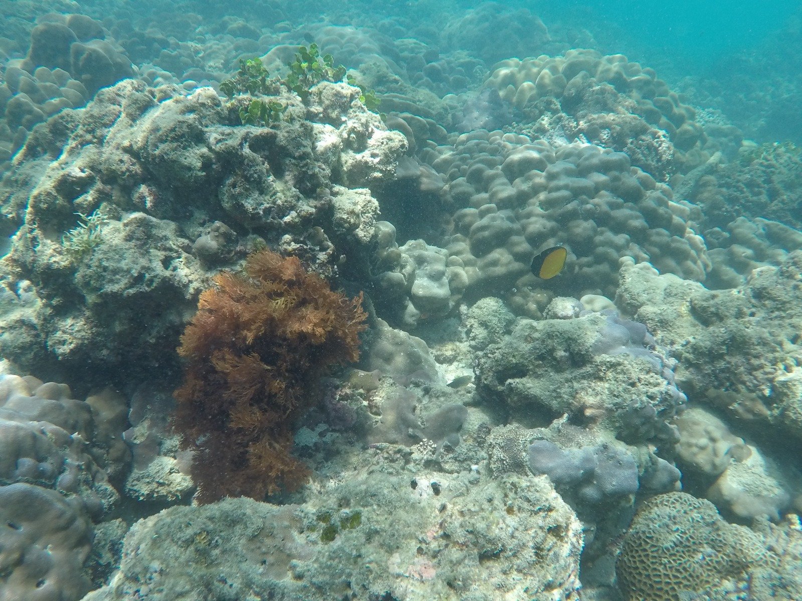 IMG 20240430 WA0035