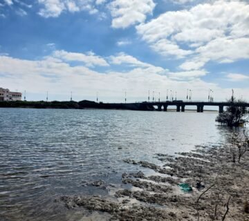 IMG 20250210 WA0008 360x320