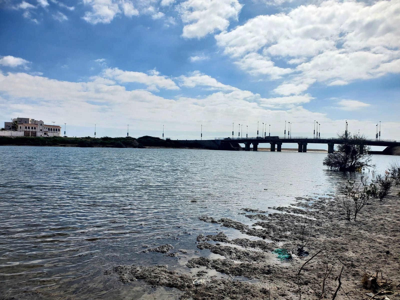 IMG 20250210 WA0008