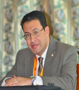 أ.د. محمد عبد الحكيم النادي