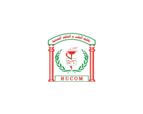 Favicon2x 1 500x400