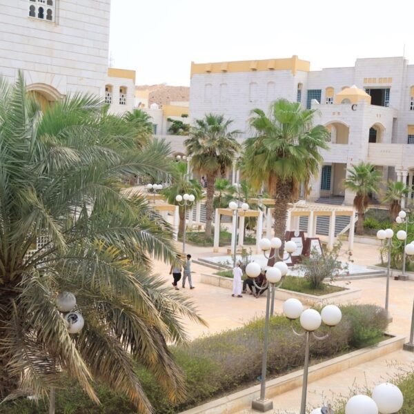 صورة IMG 7277 كبيرة