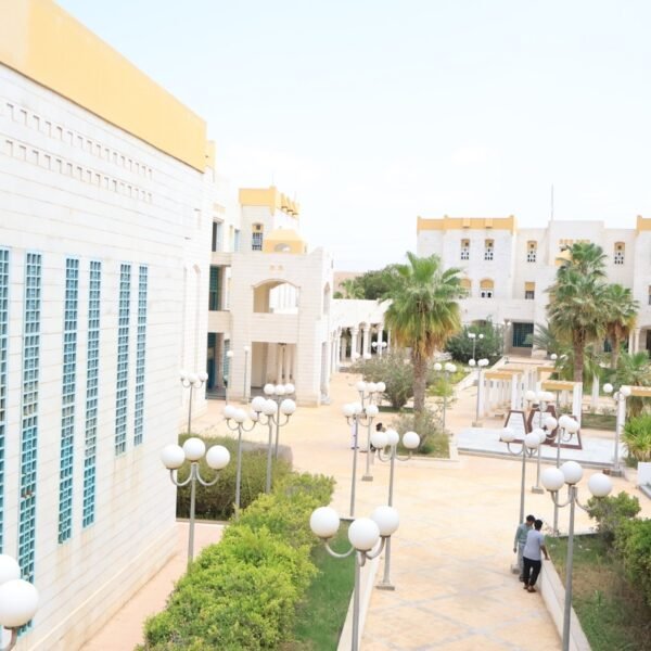 صورة IMG 7285 كبيرة