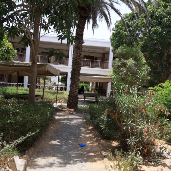 صورة IMG 7749 كبيرة