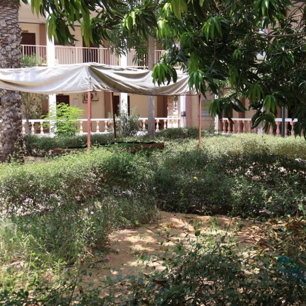 صورة IMG 7777 كبيرة