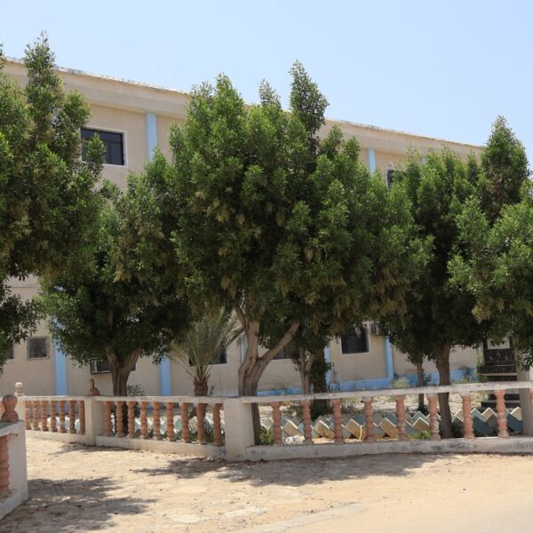 صورة IMG 7789 كبيرة