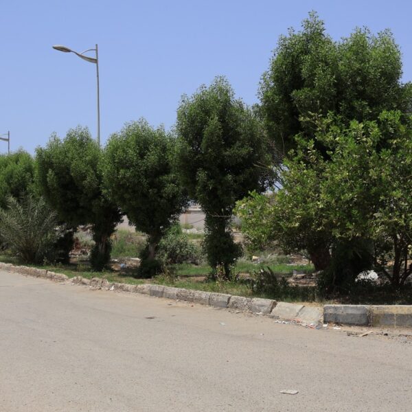 صورة IMG 7793 كبيرة