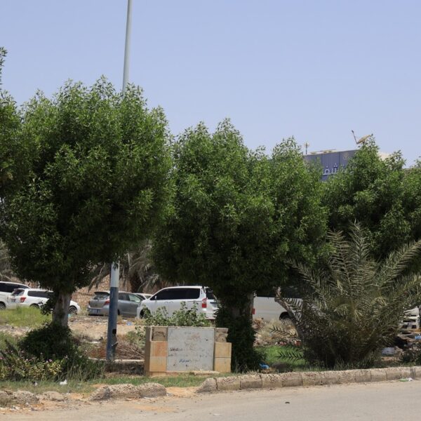 صورة IMG 7799 كبيرة