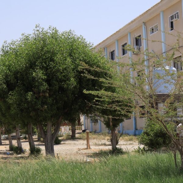 صورة IMG 7801 كبيرة