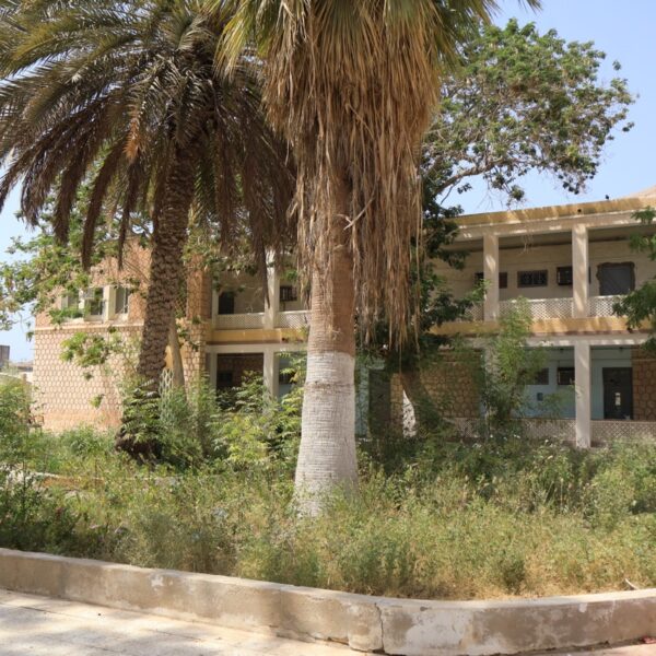 صورة IMG 7884 كبيرة