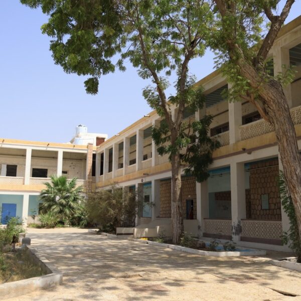 صورة IMG 7890 كبيرة