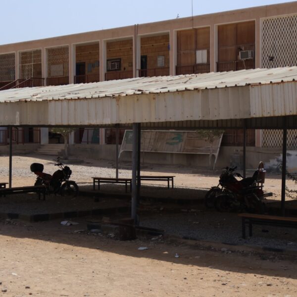 صورة IMG 7901 كبيرة
