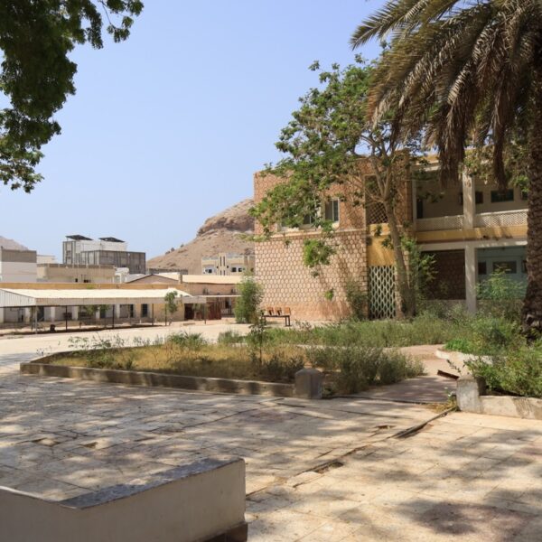 صورة IMG 7904 كبيرة