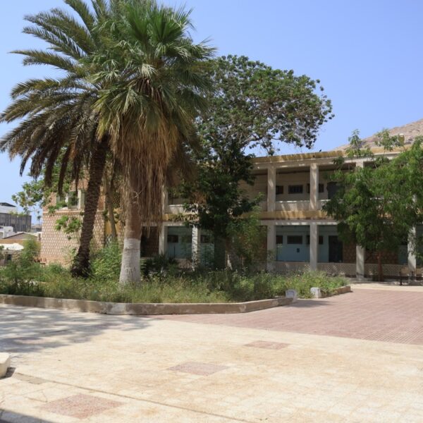 صورة IMG 7905 كبيرة