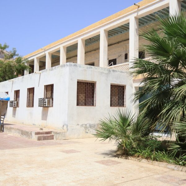 صورة IMG 7908 كبيرة