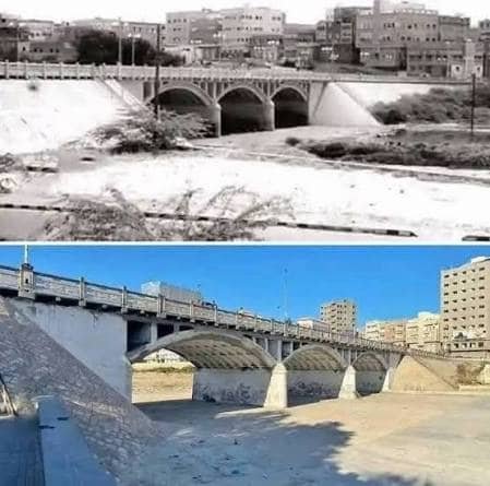 لقطة من فعاليات الذكرى السبعين للعلاقات اليمنية الصينية
