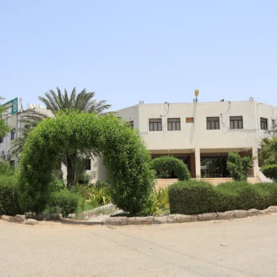 الطب ابن سينا الطب ابن سينا